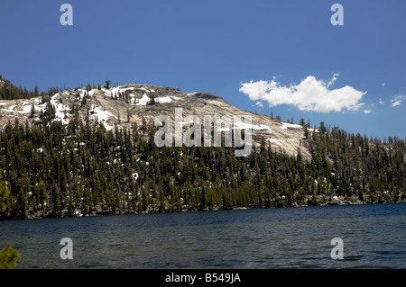 Tenaya Lake am Tioga Pass Road im Yosemite National Park Stockfoto