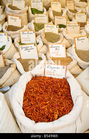 Eine Vielzahl der Gewürze (Cayennepfeffer im Vordergrund) wird an einen Bauernmarkt in Sainte-Maxime an der Cote d ' Azur angeboten Stockfoto