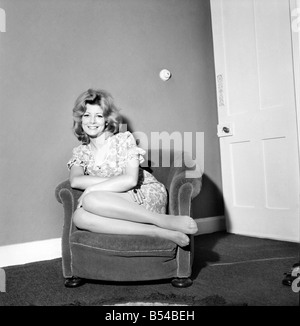 Carol Passmore Schauspielerin in der Fernsehserie "Dixon of Dock Green" in ihrem Haus Hove abgebildet. ; November 1969; Z11018-003 Stockfoto