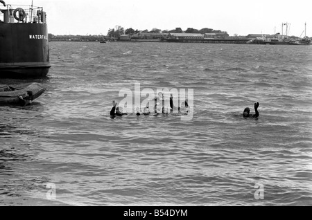 Unterhaltung. Militär Marine: Zwanzig Schiffe Taucher von HMS Hermes mit 14 jährige Janet Abercombie trat der englischen und walisischen Tauchen Champion, machen eine verbotene 45 ft Tauchen in Portsmouth Harbour aus dem oberen Deck der HMS Hermes. Es war alles zugunsten der Förderung Aufnahmen für eine Sonderausgabe von Thames Television "Opportunity Knocks" am 10. November untersucht werden. Janet im Wasser von Tauchern abgeholt. November 1969 Z10604-004 Stockfoto