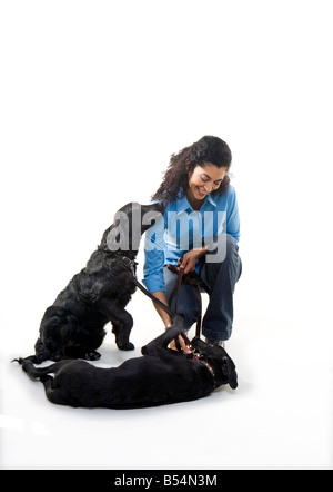 Frau spielt mit zwei schwarzen Hunden auf weißem Hintergrund Stockfoto