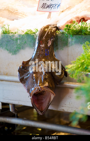 Toten Seeteufel auf dem Display an Pike Place Fish Company in Seattle, Washington Stockfoto