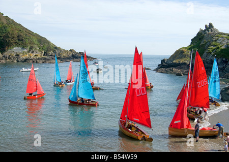 Eine bunte Regatta an Polperro Cornwall Stockfoto