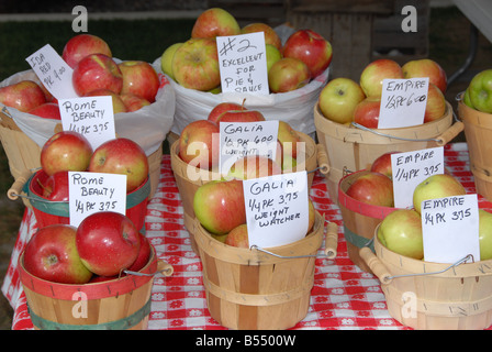 Körbe mit Äpfeln zu verkaufen. Stockfoto