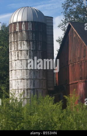 Eine alte Scheune und Silo auf einem bewachsenen Hof. Stockfoto