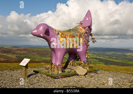 Superlambanana auf dem Gipfel des Moel Famau Stockfoto