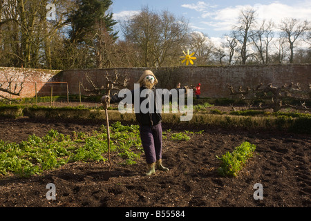 Krähe in organischen Garten bei Dean s Court Wimborne Dorset zu erschrecken Stockfoto