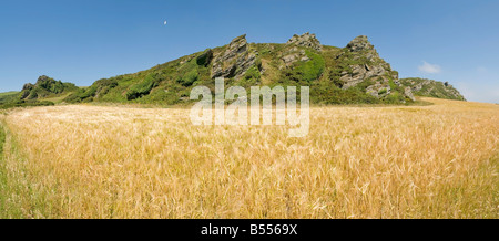 Blick von der Süd-West Devon Küste Weg Prawle Punkt im Süden Schinken Devon England uk Stockfoto