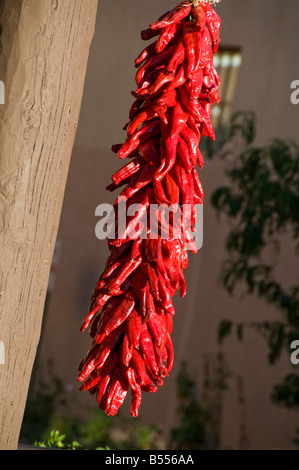 Girlanden Rot-heiße Paprika hängen in einer Gruppe in Santa Fe, New Mexico Stockfoto