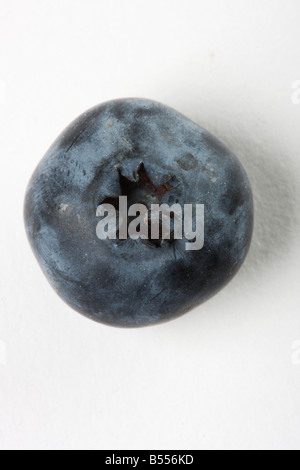 eine frische Heidelbeeren isoliert auf weiss mit Makro-Objektiv gute Frucht Hintergrund gedreht Stockfoto