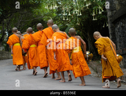 Mönche machen ihre täglichen Runden um Almosen von buddhistischen Anhänger In Luang Prabang zu erhalten Stockfoto