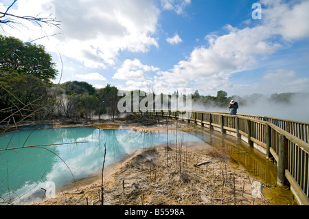 Geothermischen Quellen in Kuirau Park, Rotorua, Nordinsel, Neuseeland Stockfoto