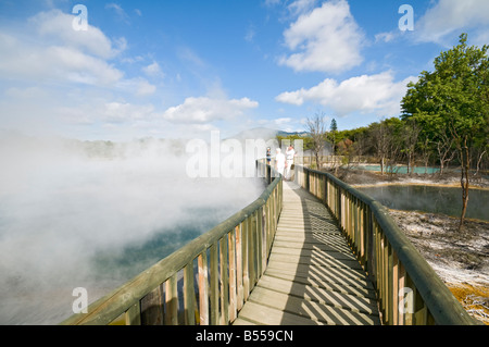 Geothermischen Quellen in Kuirau Park, Rotorua, Nordinsel, Neuseeland Stockfoto