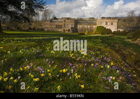 Forde Abtei Dorset im zeitigen Frühjahr mit Narzissen Krokusse usw. ursprünglich eine mittelalterliche Zisterzienser-Abtei Stockfoto