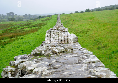 Hadrian Wall Looking East aus Birdoswald Fort 06 09 2008 Credit Garry Bowden Stockfoto