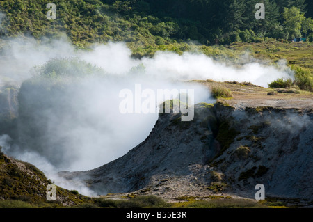 Die Krater des Mondes geothermische Gegend um Taupo, Nordinsel, Neuseeland Stockfoto