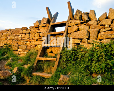 Stil über Trockenmauer in Northumberland Stockfoto