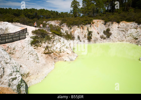 Mineral gebeizt Pool im Wai-O-Tapu Thermalbereich, in der Nähe von Rotorua, Nordinsel, Neuseeland Stockfoto