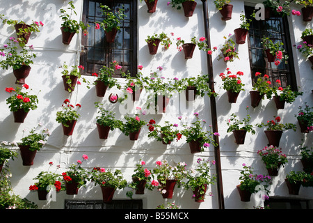 Farbige Blumentöpfe mit Geranien auf eine weiß getünchte Wand in Spanien Stockfoto