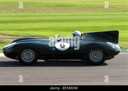 Jaguar D-Type lange Nase Racing beim Goodwood Revival Stockfoto