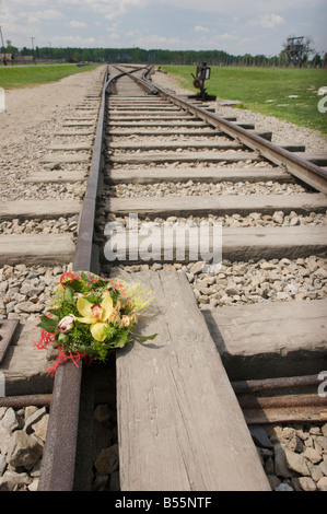 Blumenstrauß stecken in dem Bahngleis im ehemaligen KZ Auschwitz II (Birkenau) Stockfoto