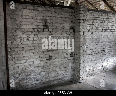 Inschrift "ist Eine Laus Dein Tod" an einer Wand in einem Gefangenen schlafen Baracke im ehemaligen KZ Auschwitz (Birkenau) Stockfoto