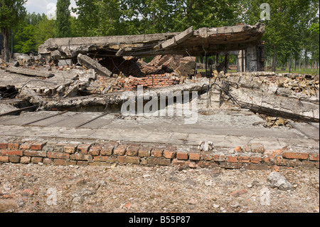 Ruinen von einem der Gaskammer und Krematorium Gebäude im ehemaligen KZ Auschwitz II (Birkenau) Stockfoto