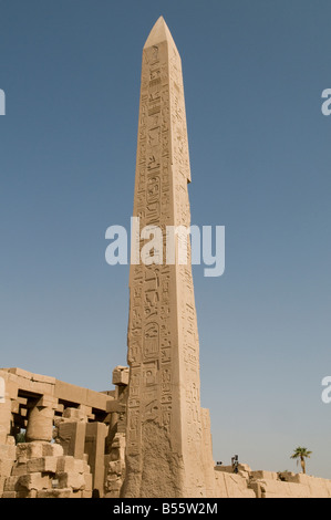 Obelisk errichtet von Thutmose I. dritten Pharao der 18. Dynastie des alten Ägypten in das Revier des Amun-Re, Karnak Tempel in der Nähe von Luxor in Ägypten Stockfoto