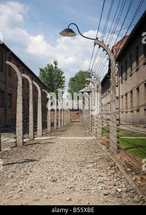 Zwei Reihen von Hochspannung elektrische Stacheldrahtzaun im ehemaligen KZ Auschwitz Stockfoto