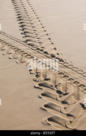 LKW-Reifenspuren am Sandstrand Stockfoto