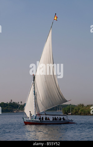 Traditionellen Feluke Boot Segeln auf dem Nil in Assuan, Ägypten Stockfoto