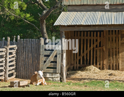 Texas Hill Country Stonewall Lyndon B Johnson State Park historische Website Sauer Beckmann Gehöft Geschichtsmuseum Leben Stockfoto