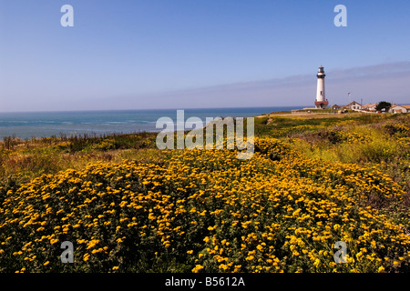 California San Francisco Wildblumen und Pigeon Point Lighthouse an der Küste San Mateo Stockfoto