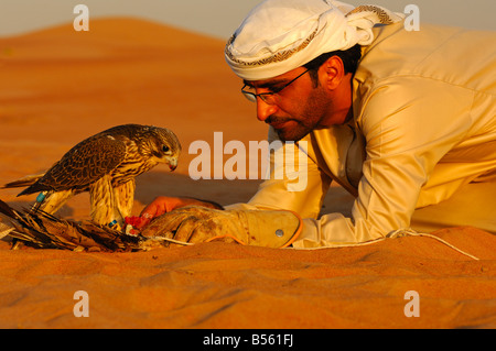 Arabische Falkner Fütterung seinen Gerfalken, Dubai, Vereinigte Arabische Emirate, UAE Stockfoto