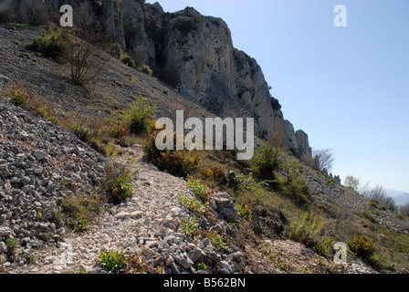 Pfad und Geröll Hang in der Nähe von Els Frares Rock Zinnen, Sierra de Serrella, Comtat, Provinz Alicante, Comunidad Valenciana, Spanien Stockfoto