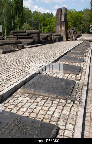 Reihe von Gedenktafeln in verschiedenen Sprachen vor einem Denkmal im ehemaligen Konzentrationslager Auschwitz (Birkenau) Stockfoto