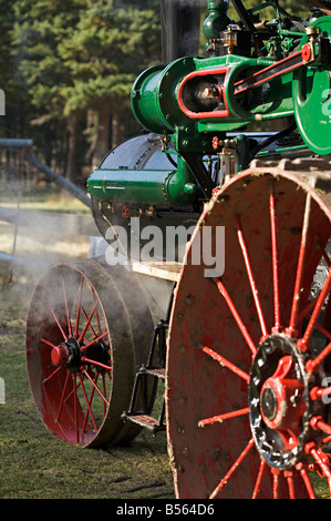 Dampfmaschine Demonstration während der Dampfmaschine zeigen bei Westwold, "British Columbia", Canada Stockfoto
