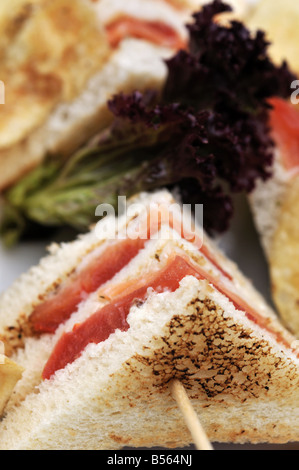 Geräucherter schottischer Lachs Club sandwich Stockfoto