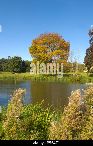 Waverley Abtei Park, Surrey, UK Stockfoto