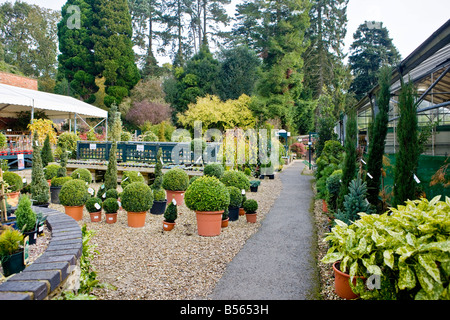 Zündeten Arboretum Gartencenter Stockfoto