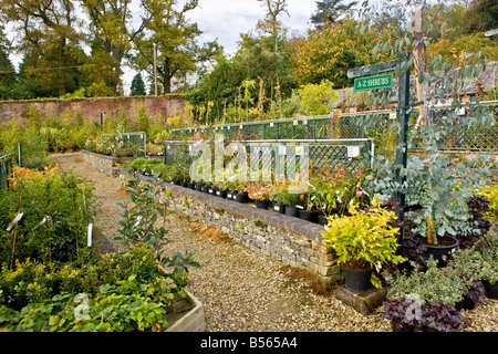 Zündeten Arboretum Gartencenter Stockfoto