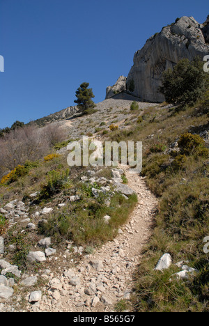 Pfad und Geröll Hang in der Nähe von Els Frares Rock Zinnen, Sierra de Serrella, Comtat, Provinz Alicante, Comunidad Valenciana, Spanien Stockfoto