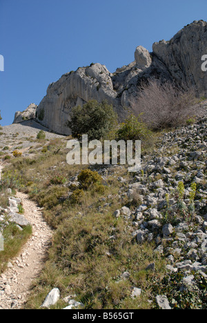 Pfad und Geröll Hang in der Nähe von Els Frares Rock Zinnen, Sierra de Serrella, Comtat, Provinz Alicante, Comunidad Valenciana, Spanien Stockfoto