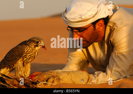 Arabische Falkner Fütterung seinen Gerfalken, Dubai, Vereinigte Arabische Emirate, UAE Stockfoto