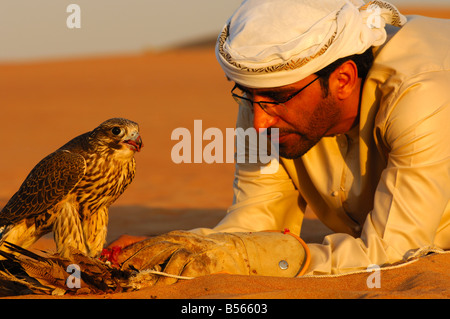 Arabische Falkner Fütterung seinen Gerfalken, Dubai, Vereinigte Arabische Emirate, UAE Stockfoto