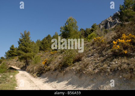 Pfad zum Els Frares rock Zinnen, Comtat, Provinz Alicante, Comunidad Valenciana, Sierra de Serrella, Spanien Stockfoto