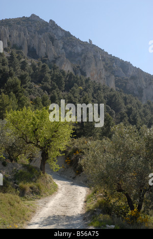 Pfad zum Els Frares rock Zinnen, Comtat, Provinz Alicante, Comunidad Valenciana, Sierra de Serrella, Spanien Stockfoto