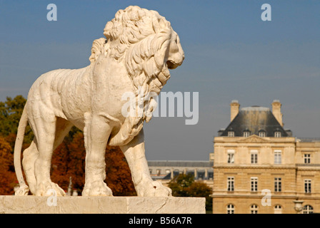 Statue eines Löwen am Jardin du Luxemburg Jardin du Luxembourg in Paris Frankreich Stockfoto