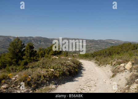 Pfad zum Els Frares rock Zinnen, Comtat, Provinz Alicante, Comunidad Valenciana, Sierra de Serrella, Spanien Stockfoto