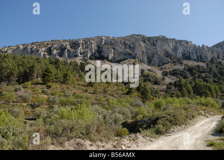 Pfad zum Els Frares rock Zinnen, Comtat, Provinz Alicante, Comunidad Valenciana, Sierra de Serrella, Spanien Stockfoto